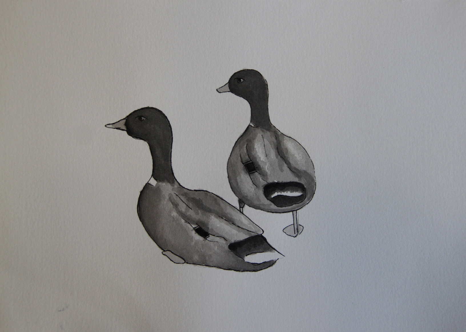 Grandpa's Pets — ink and wash drawing of ducks