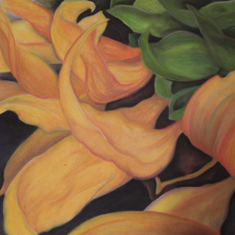 Sunflower pastel from the Sophomore Review
