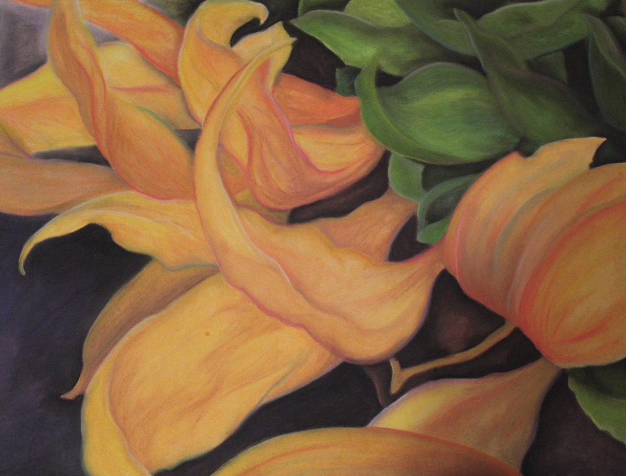 Sunflower — chalk pastel drawing