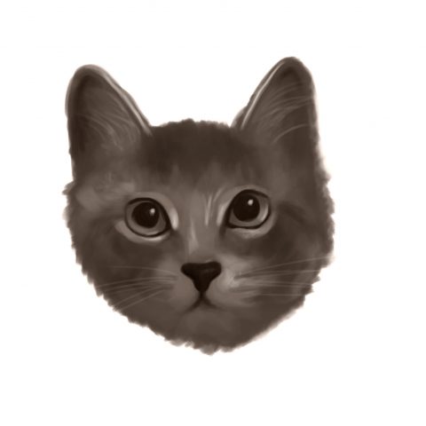 Emmy — pencil sketch