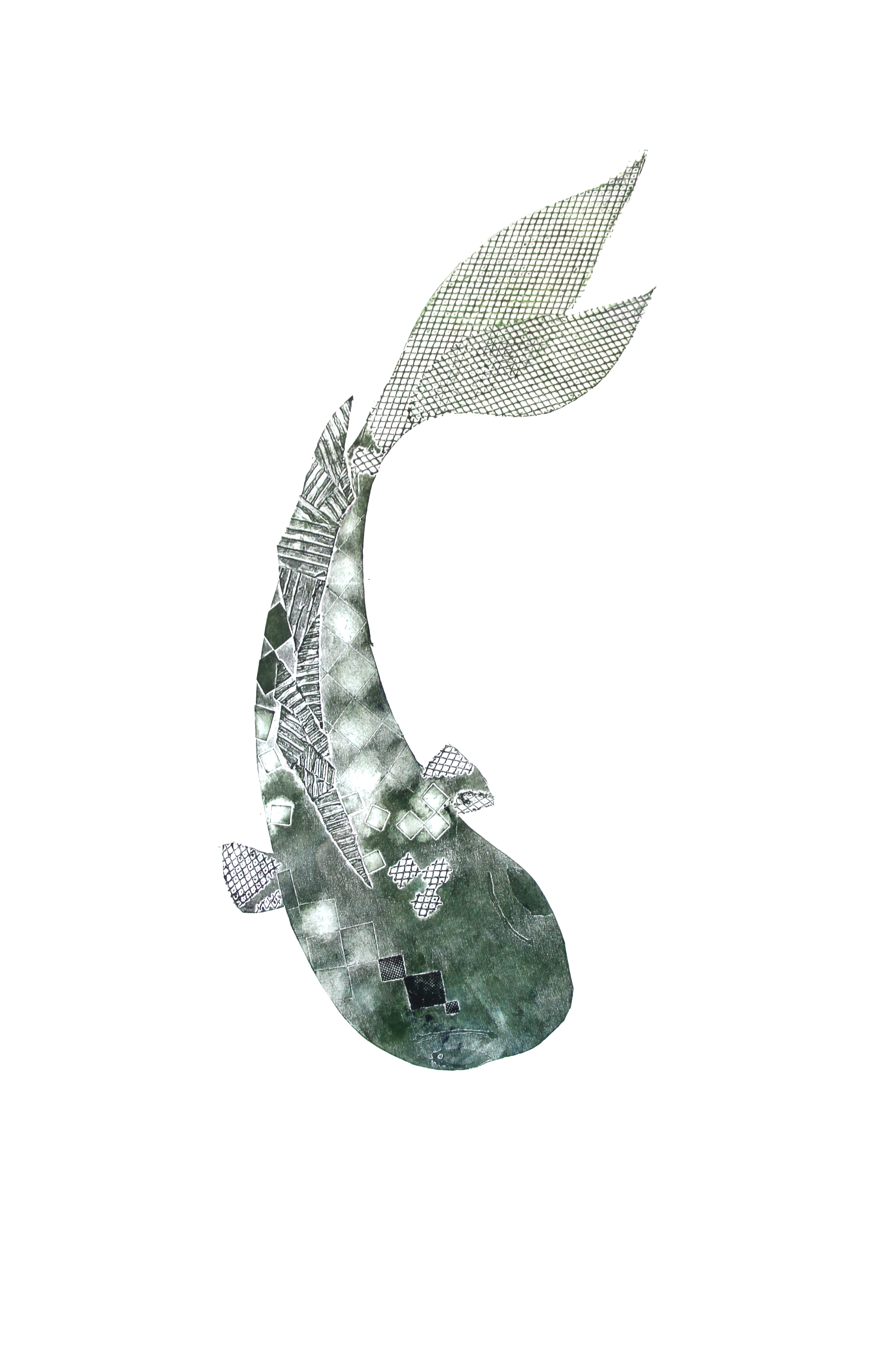Koi — intaglio print of a koi fish