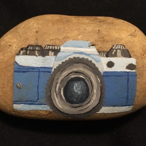 Hand-painted kindness rock